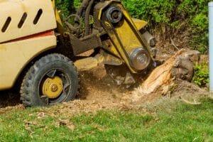 grinding stumps and roots